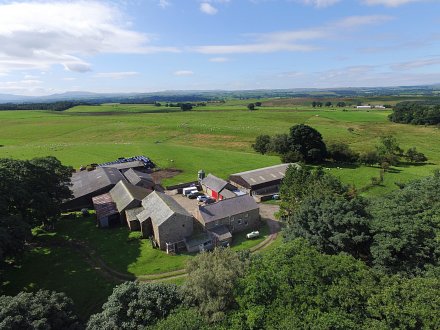 Photo: the Simple Farming farm near Appleby